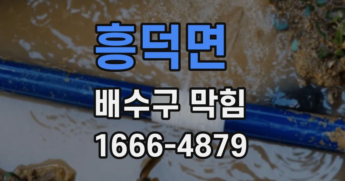 흥덕면 배수구 막힘