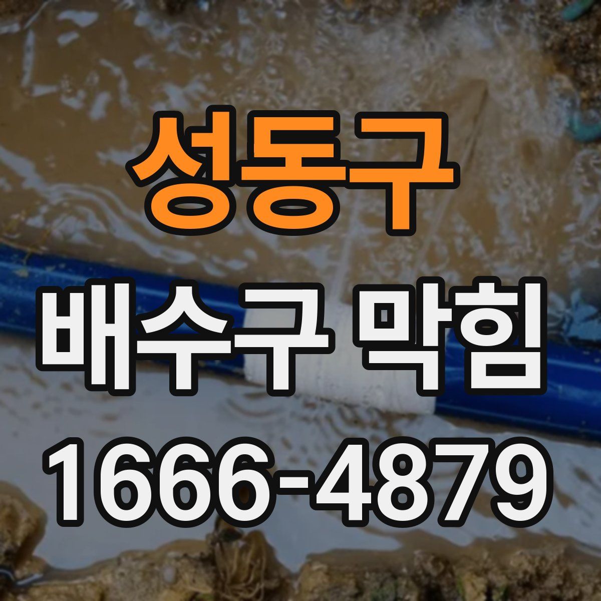 성동구 배수구 막힘