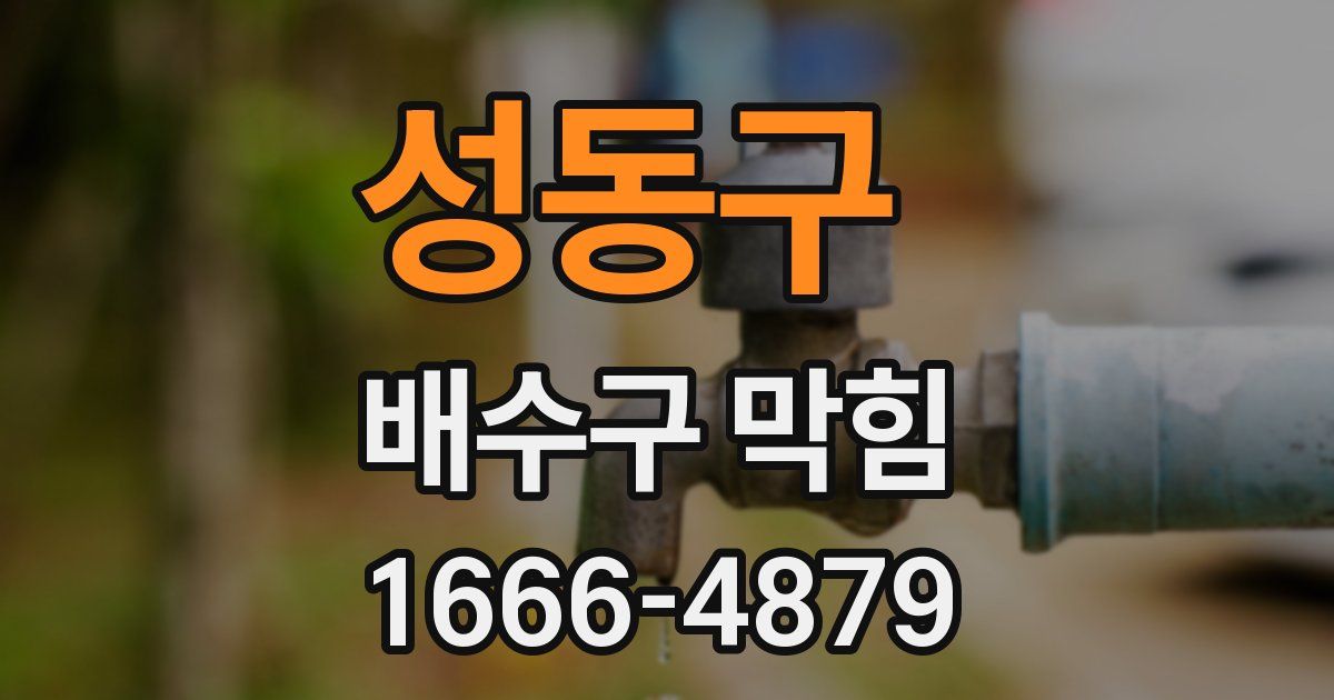 성동구 배수구 막힘