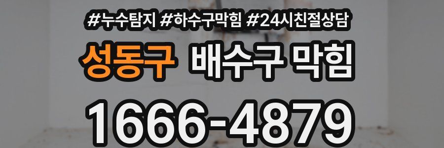 성동구 배수구 막힘