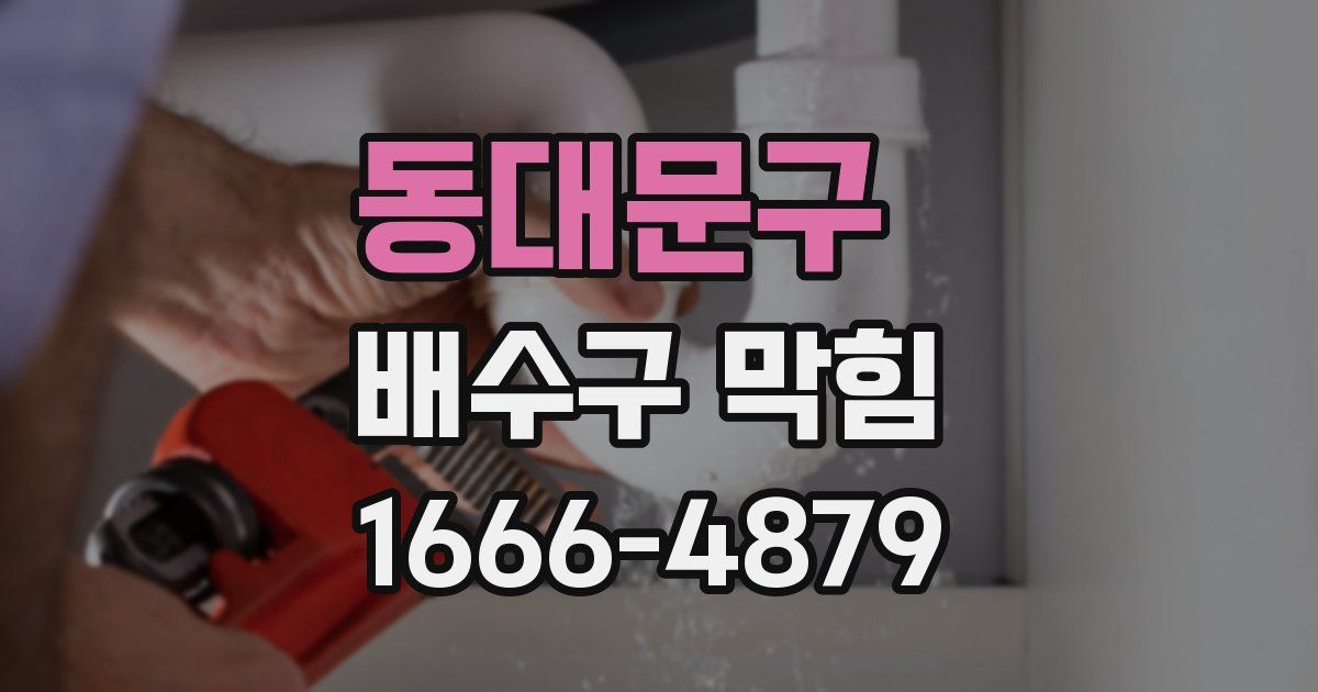 동대문구 배수구 막힘