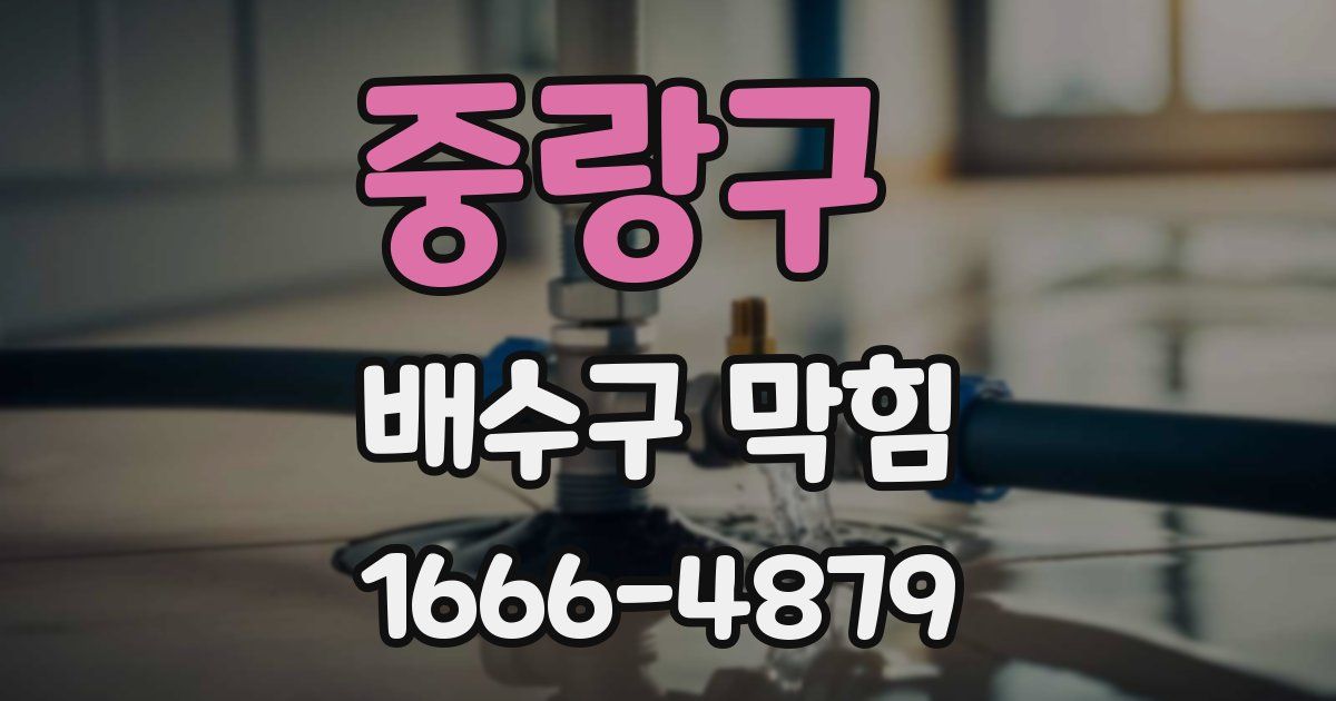 중랑구 배수구 막힘