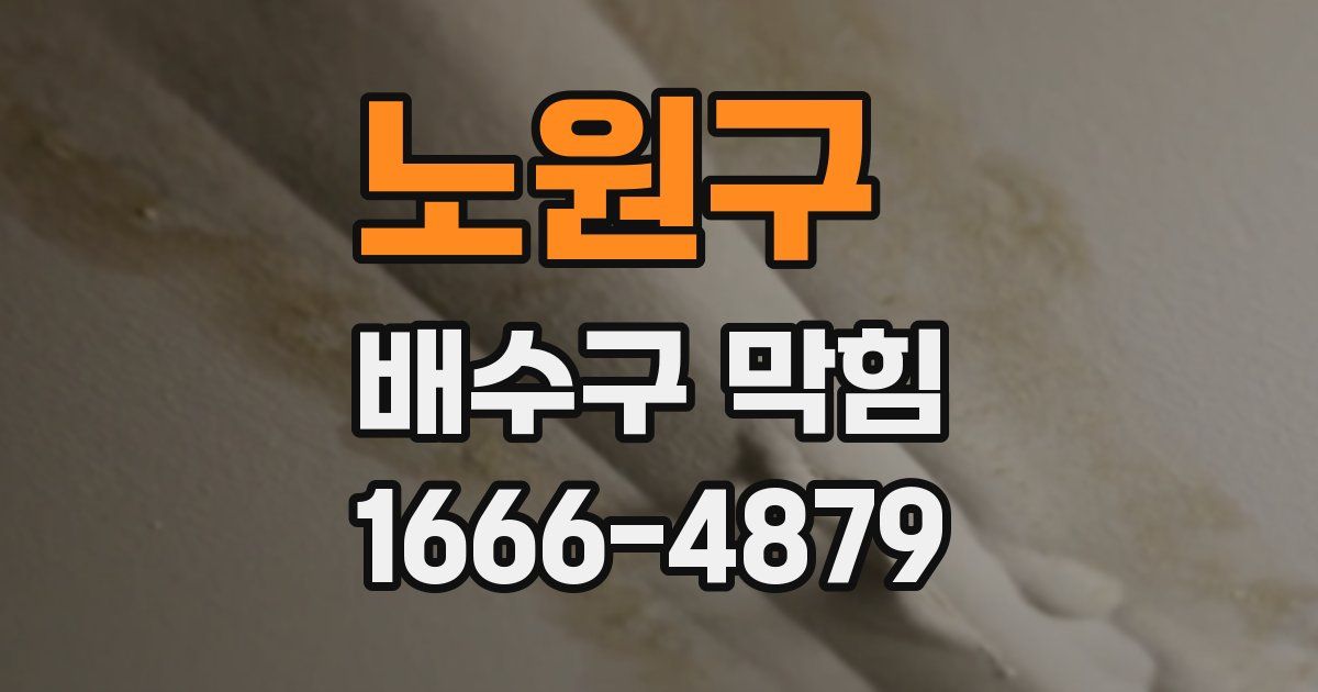 노원구 배수구 막힘