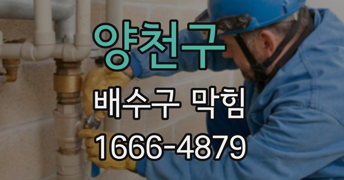 양천구 배수구 막힘