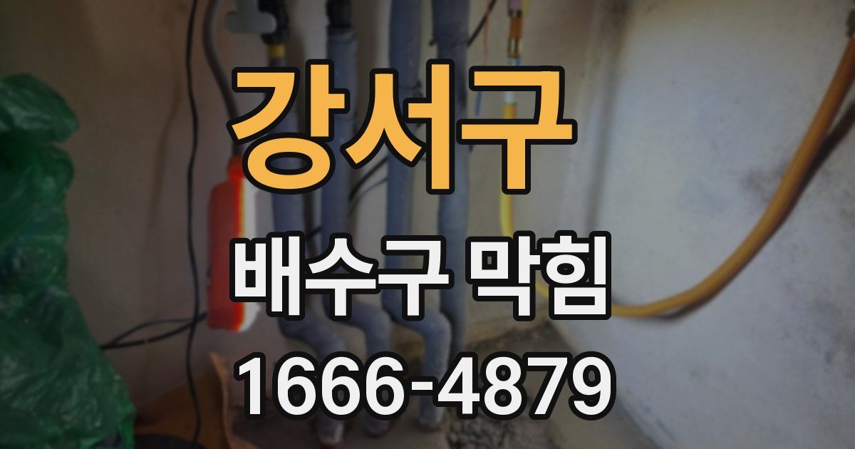 강서구 배수구 막힘