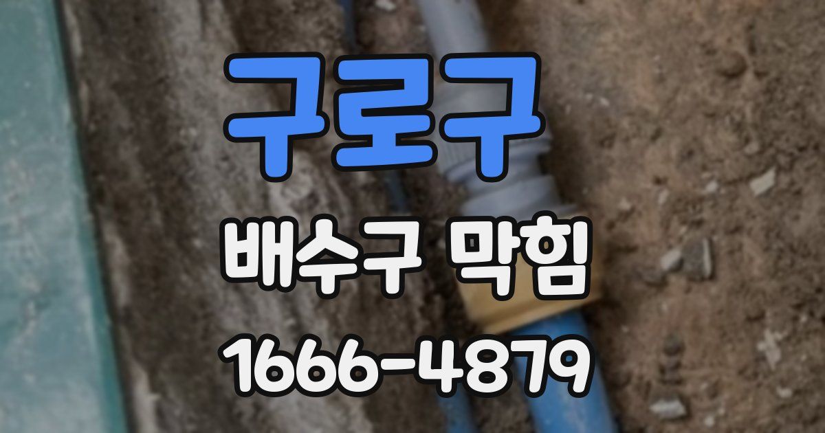 구로구 배수구 막힘