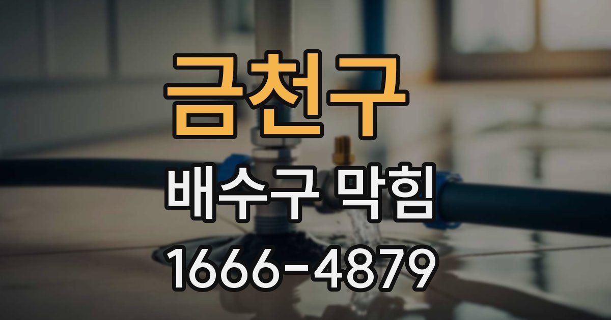 금천구 배수구 막힘