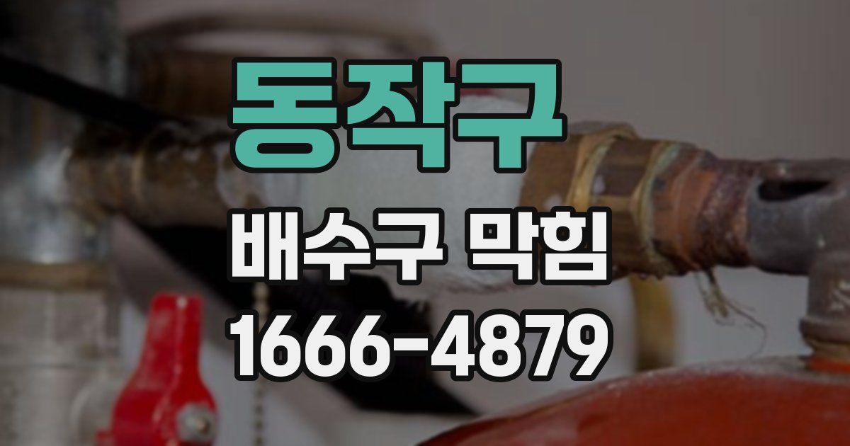 동작구 배수구 막힘