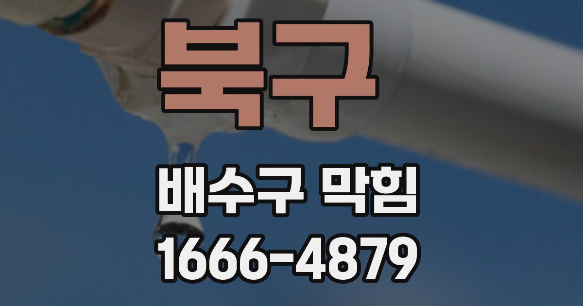 북구 배수구 막힘