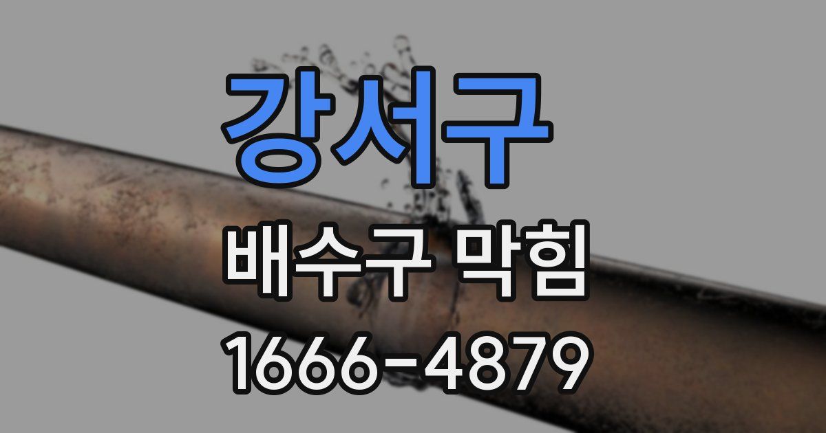 강서구 배수구 막힘