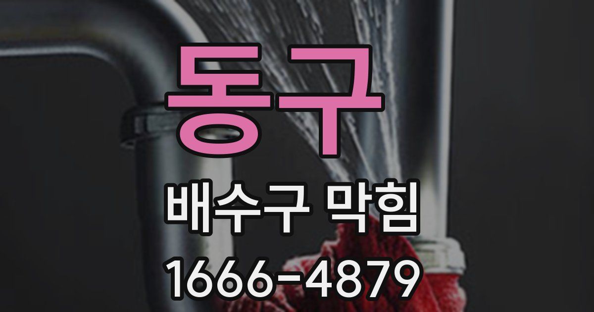 동구 배수구 막힘
