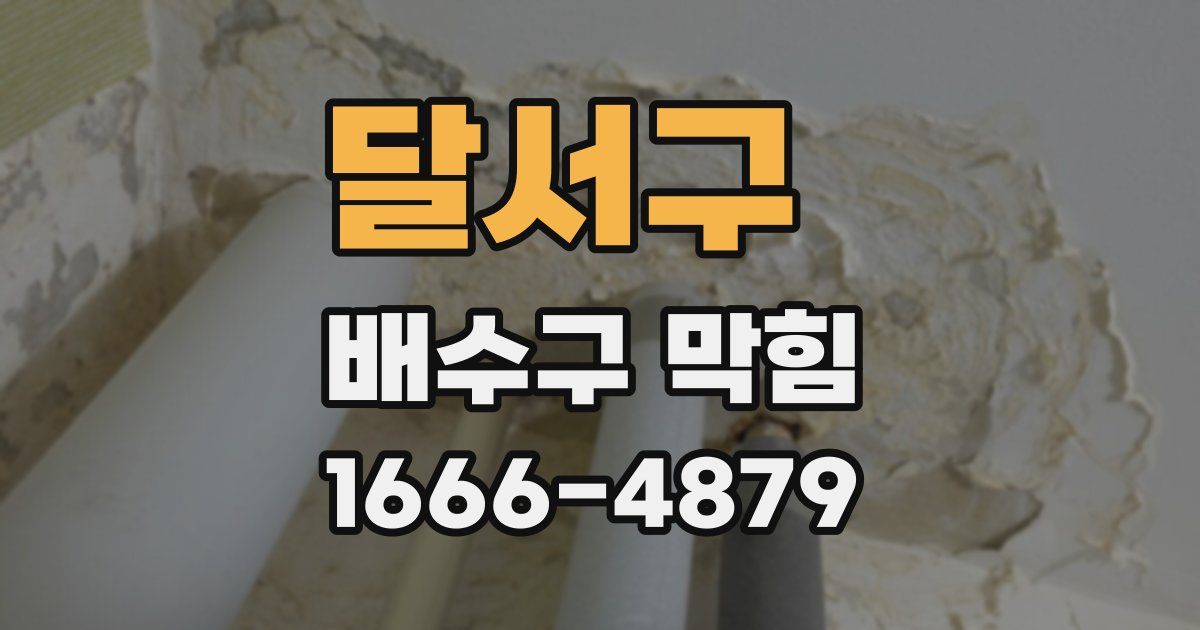 달서구 배수구 막힘