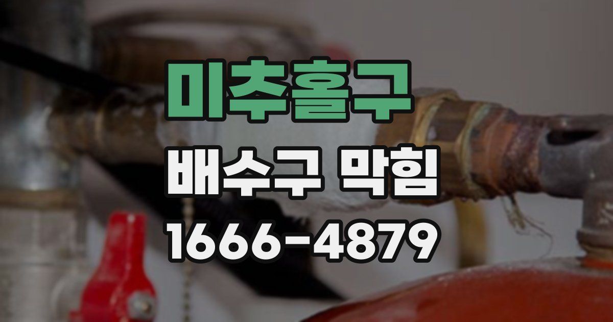미추홀구 배수구 막힘