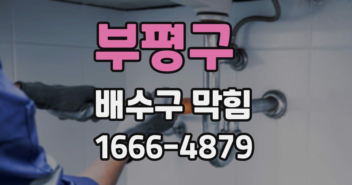 부평구 배수구 막힘