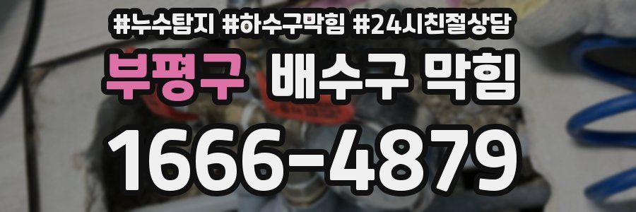 부평구 배수구 막힘