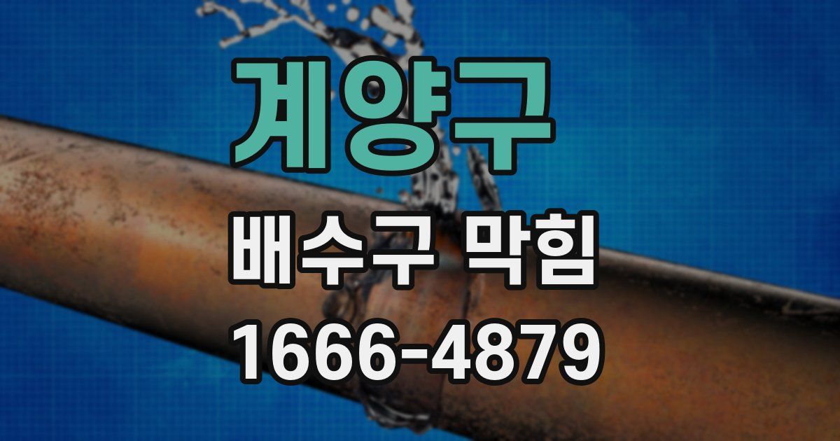 계양구 배수구 막힘
