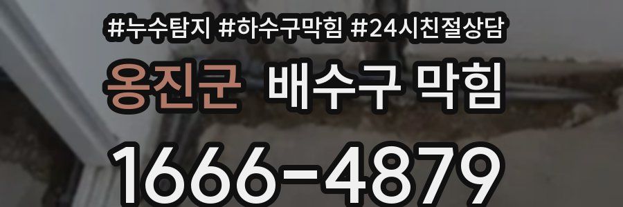 옹진군 배수구 막힘