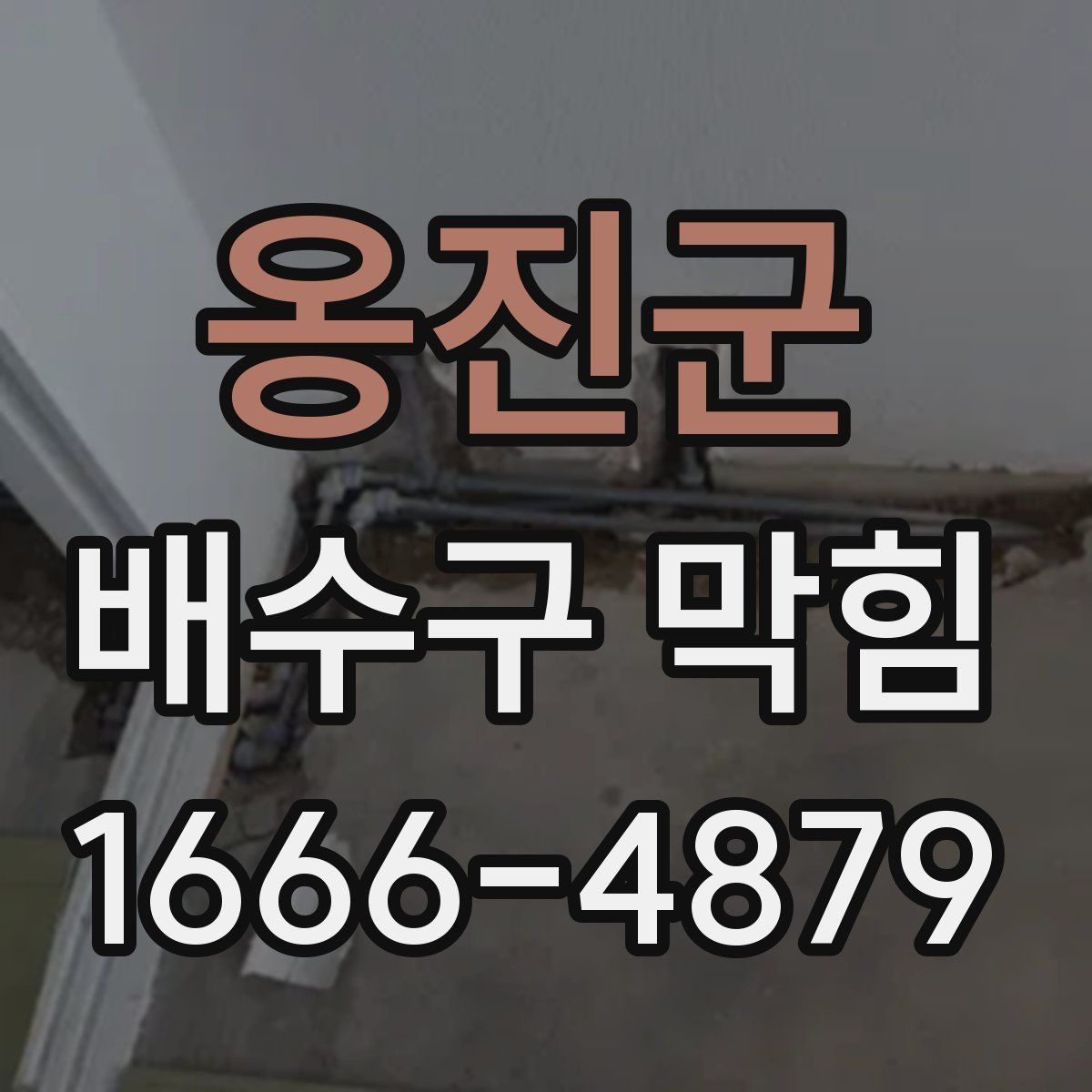 옹진군 배수구 막힘