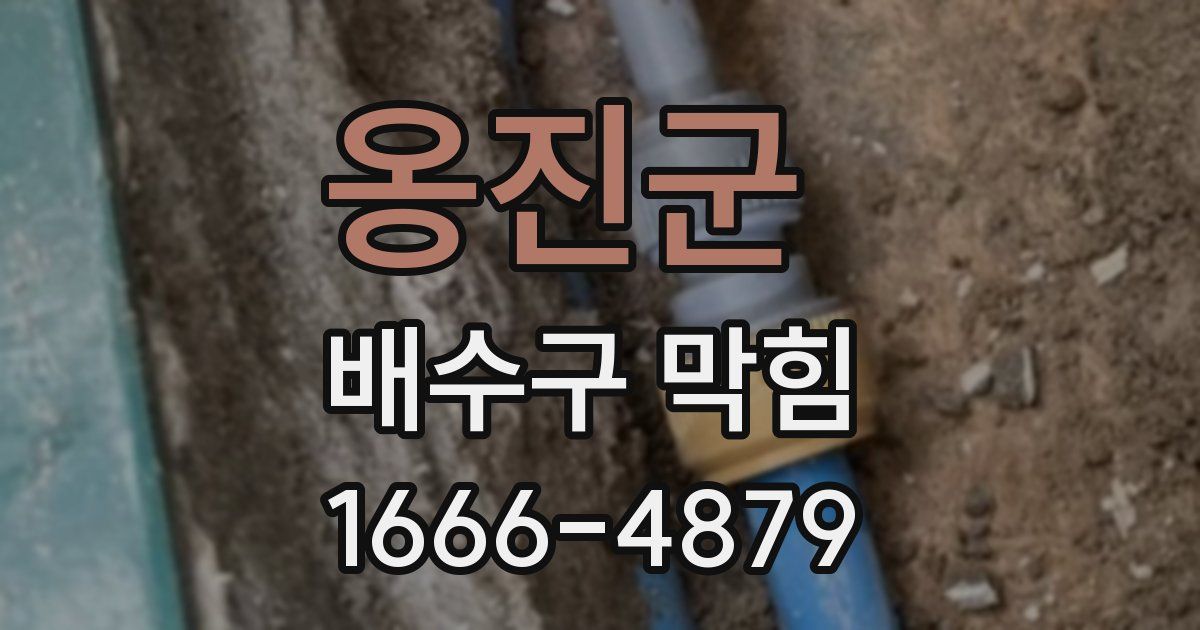 옹진군 배수구 막힘