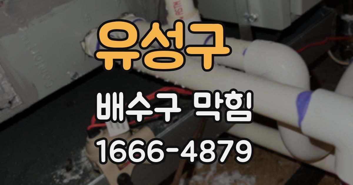 유성구 배수구 막힘
