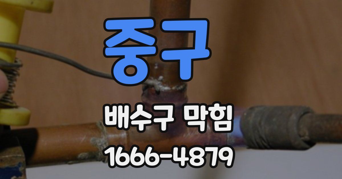 중구 배수구 막힘