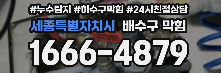 세종특별자치시 배수구 막힘