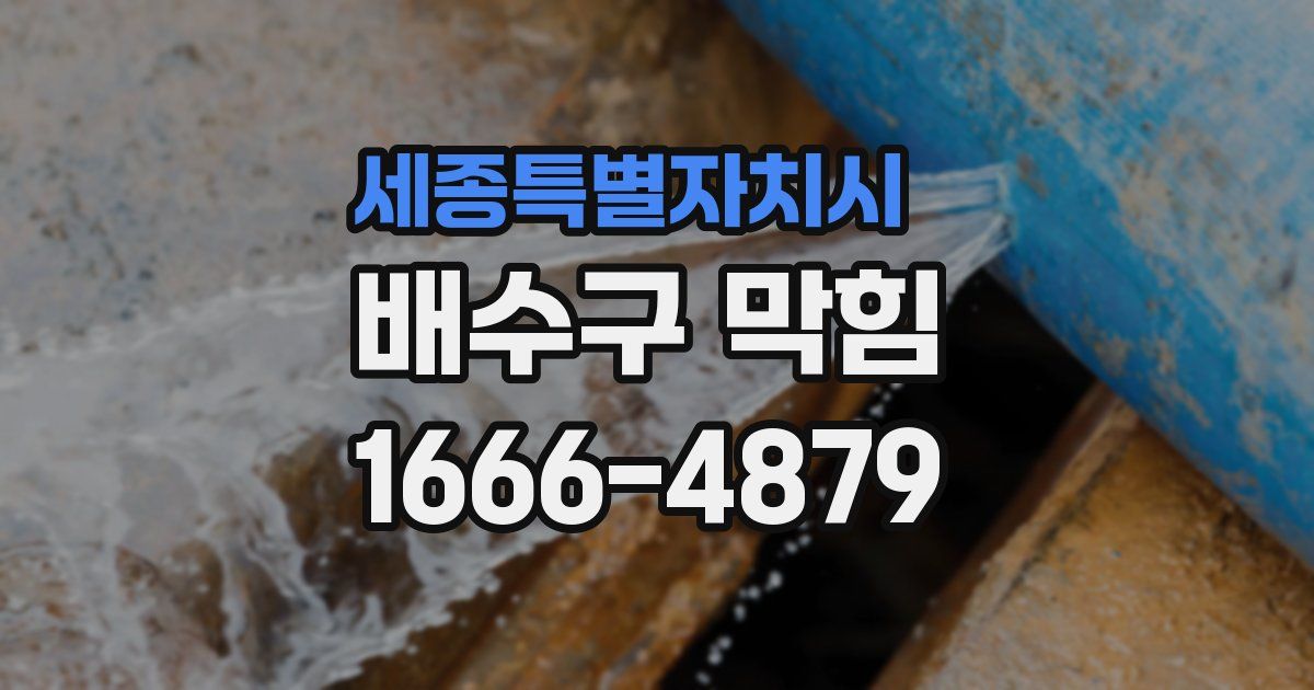 세종특별자치시 배수구 막힘