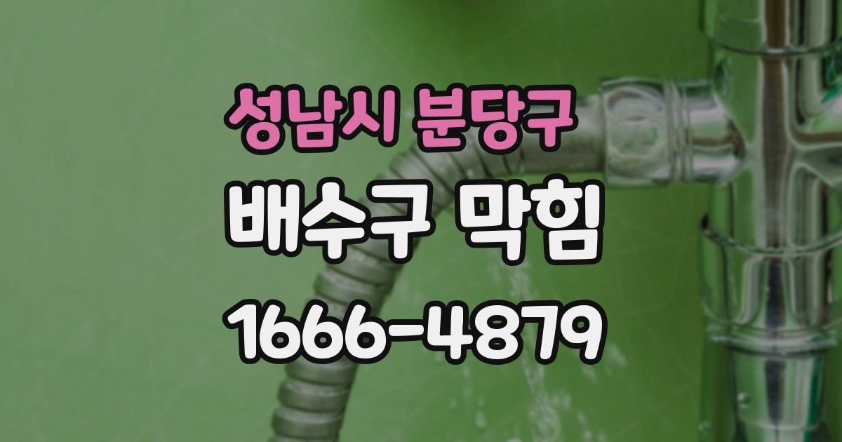 성남시 분당구 배수구 막힘