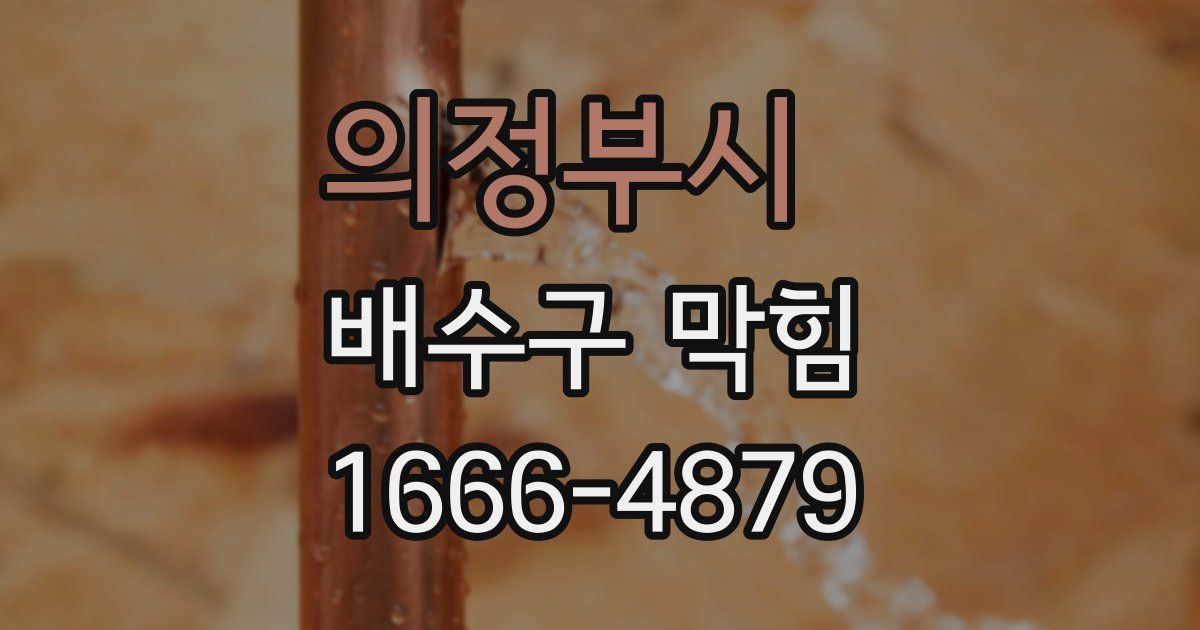 의정부시 배수구 막힘