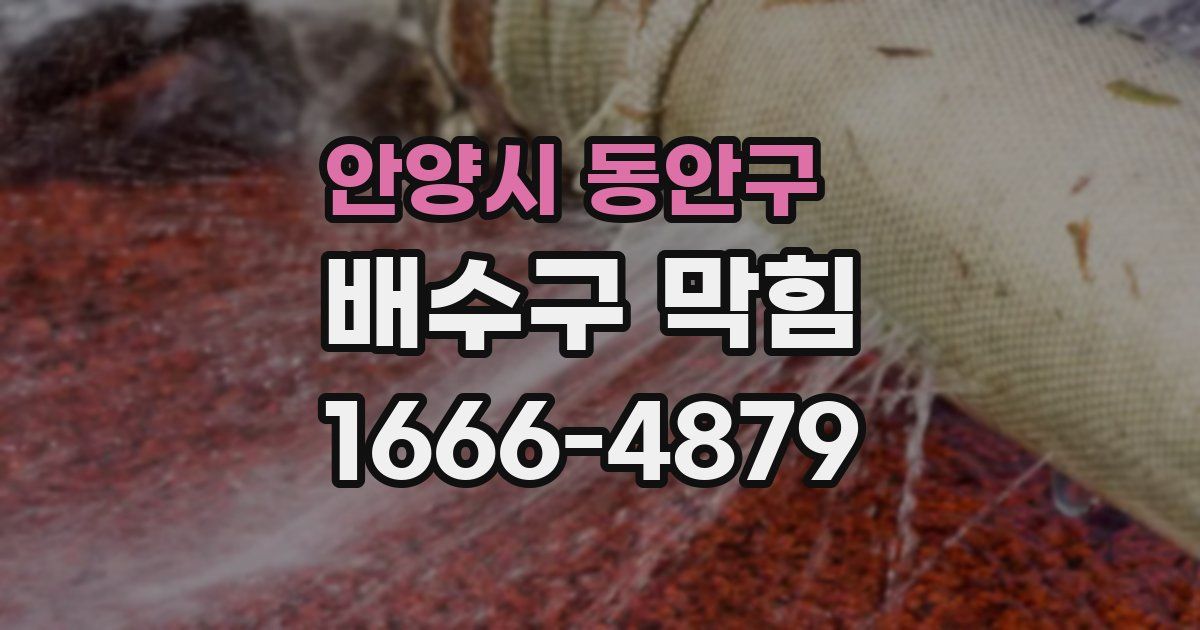 안양시 동안구 배수구 막힘