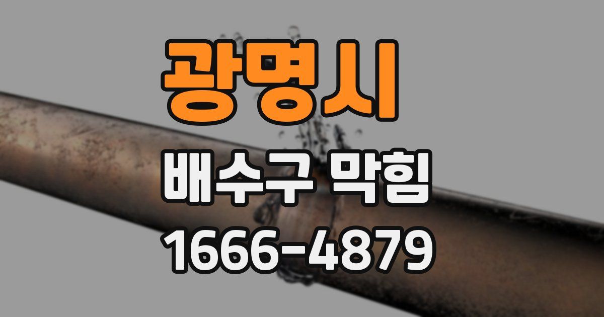 광명시 배수구 막힘