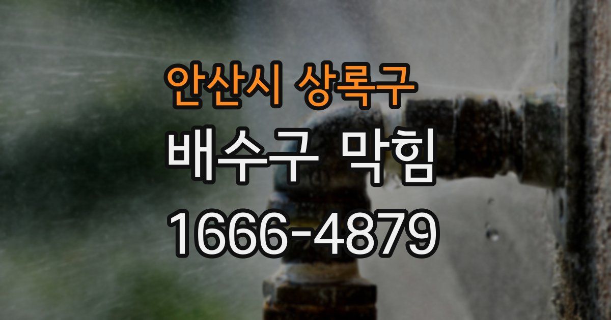 안산시 상록구 배수구 막힘