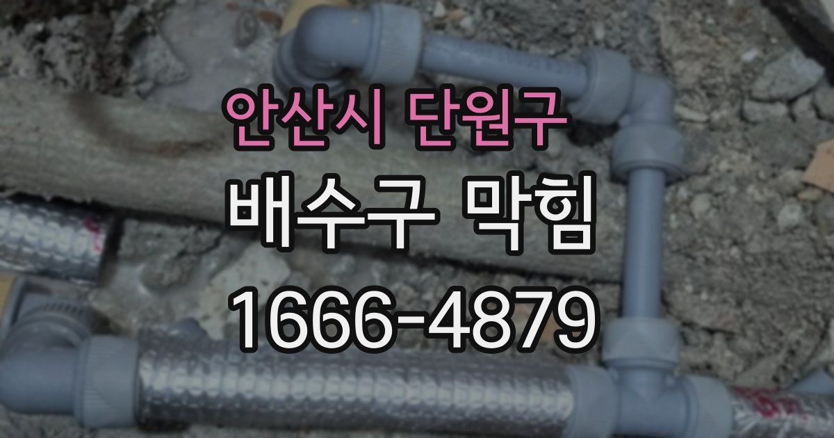 안산시 단원구 배수구 막힘