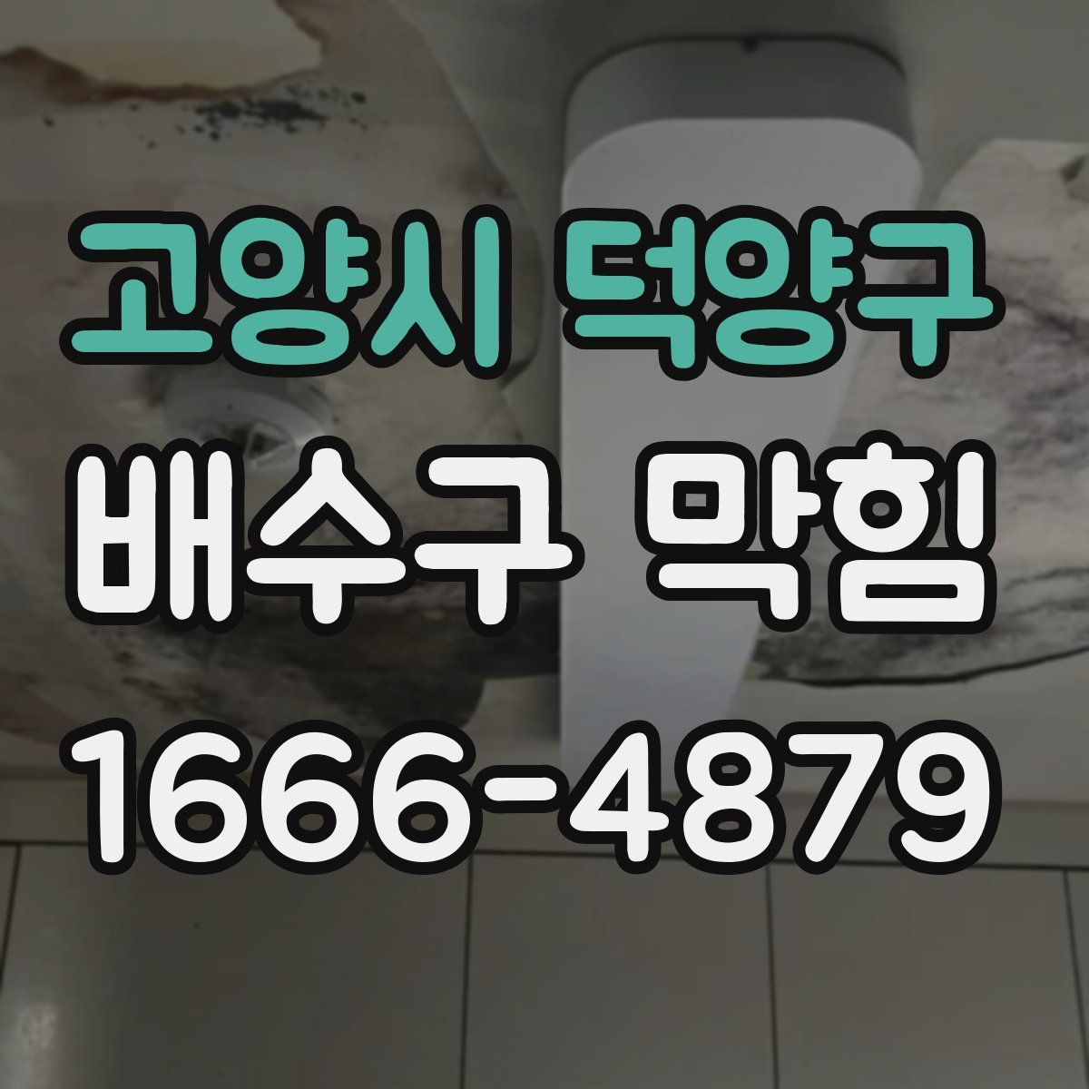 고양시 덕양구 배수구 막힘