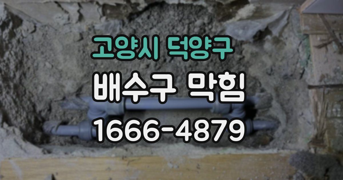고양시 덕양구 배수구 막힘