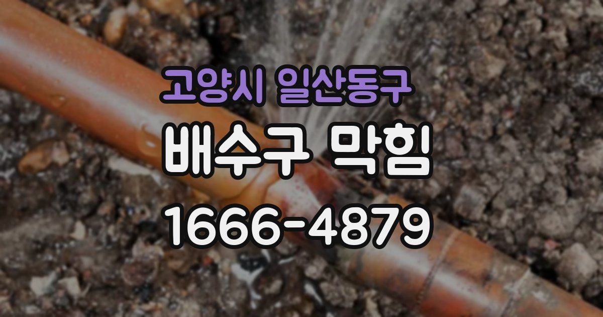 고양시 일산동구 배수구 막힘