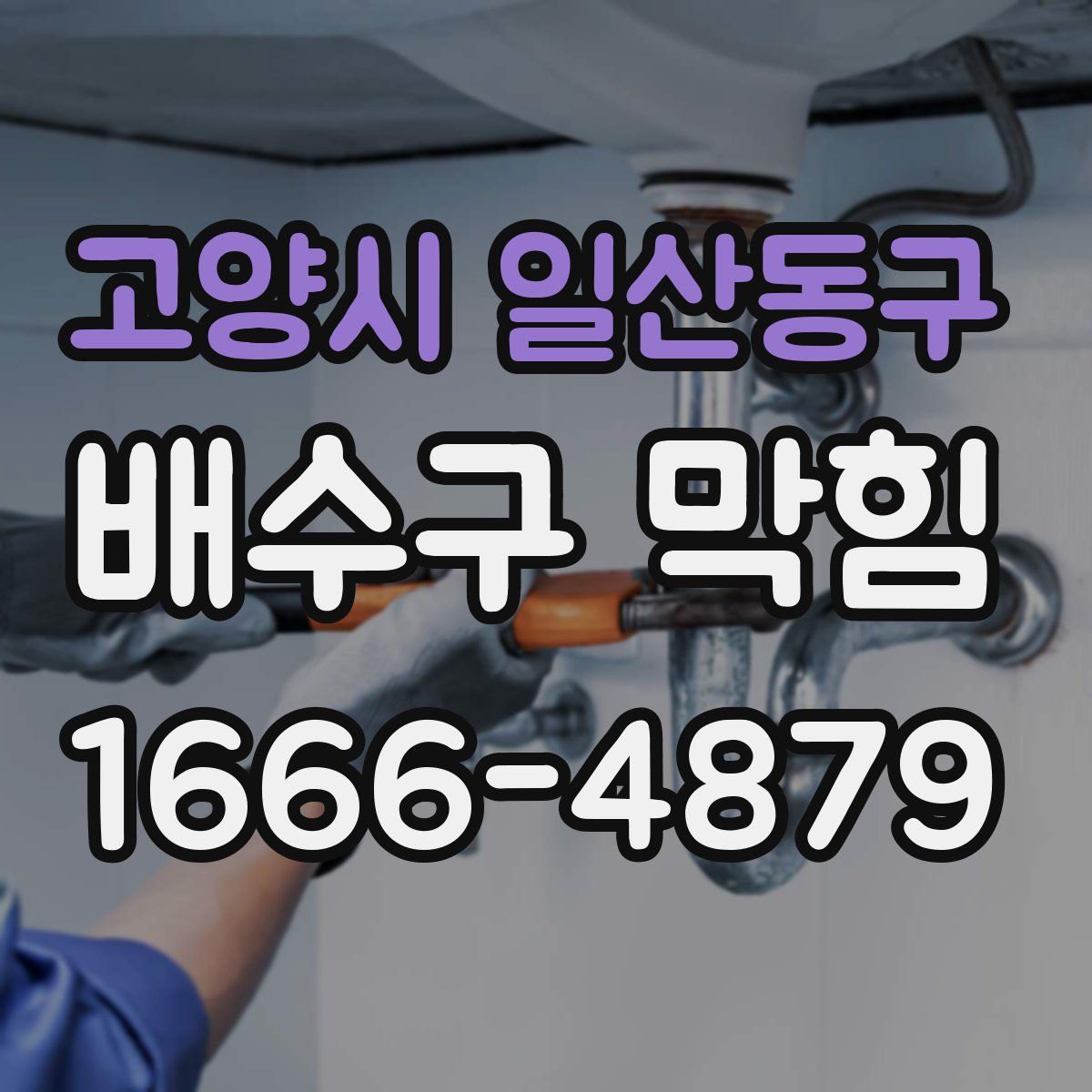 고양시 일산동구 배수구 막힘
