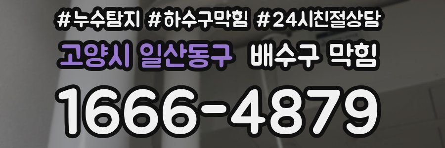 고양시 일산동구 배수구 막힘