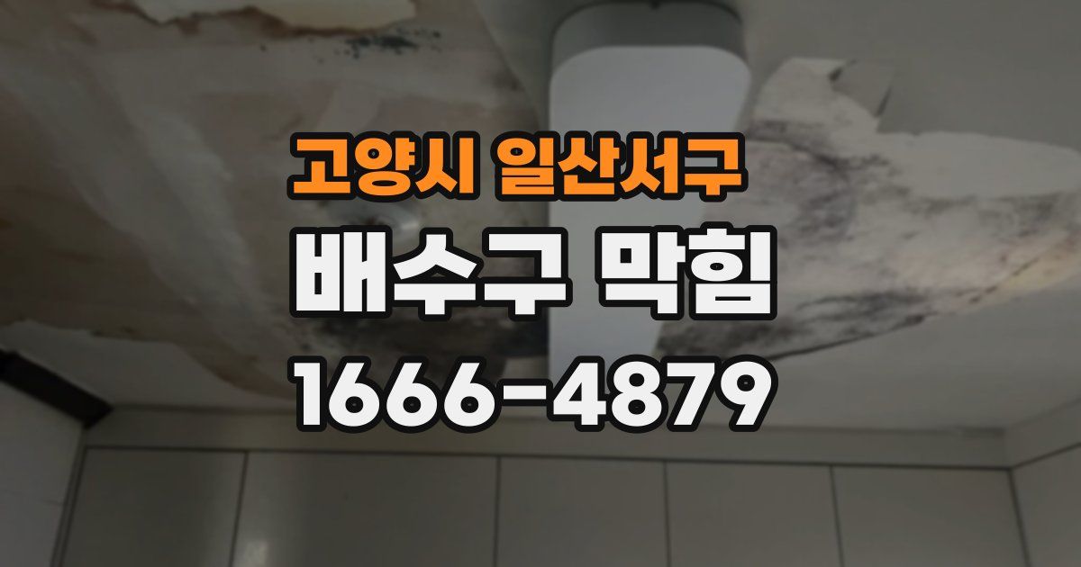 고양시 일산서구 배수구 막힘