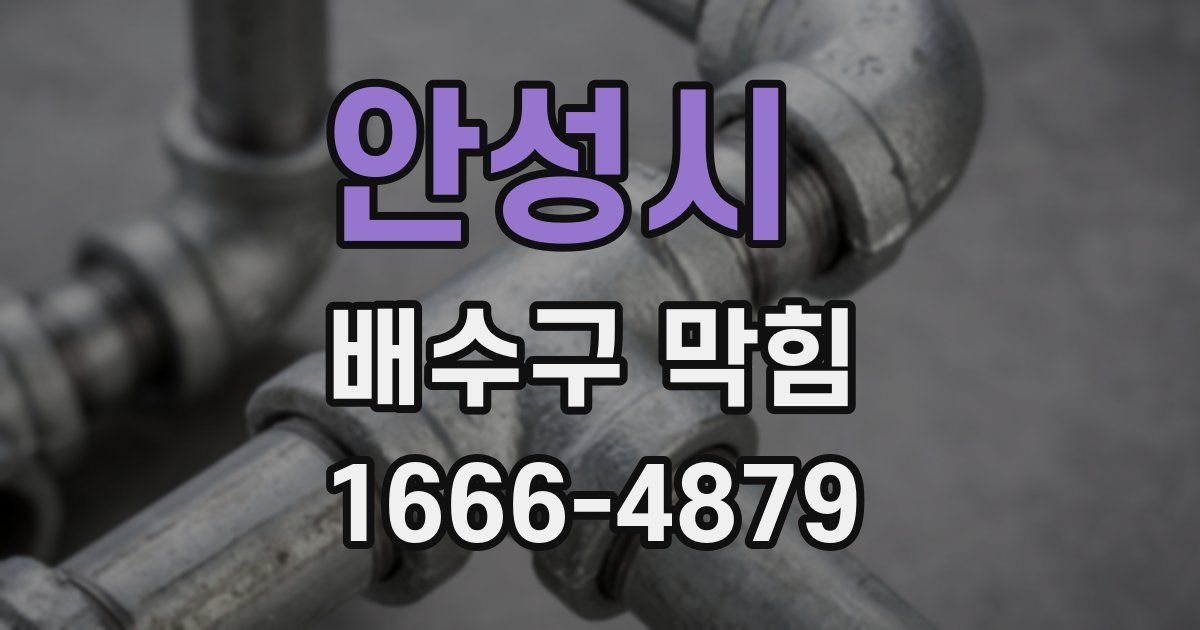 안성시 배수구 막힘