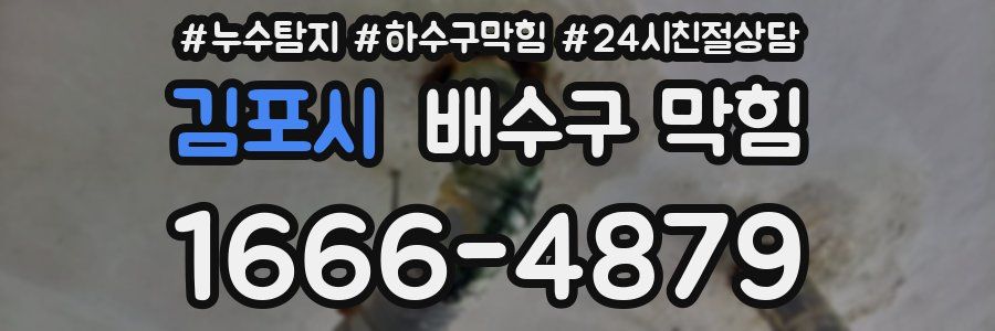 김포시 배수구 막힘