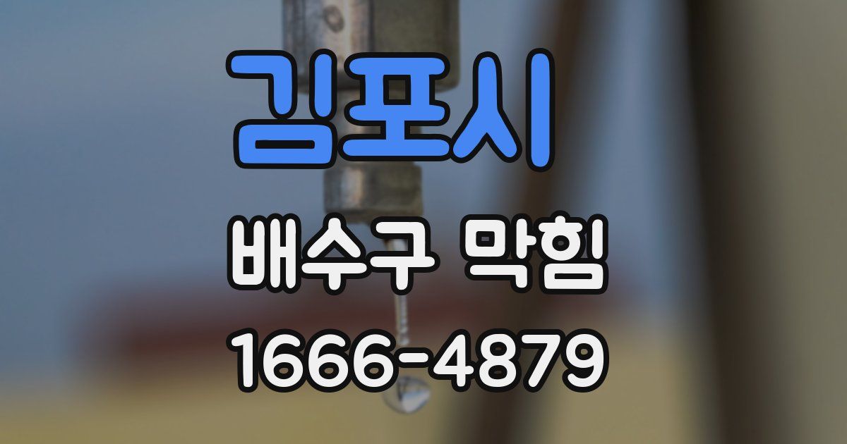 김포시 배수구 막힘