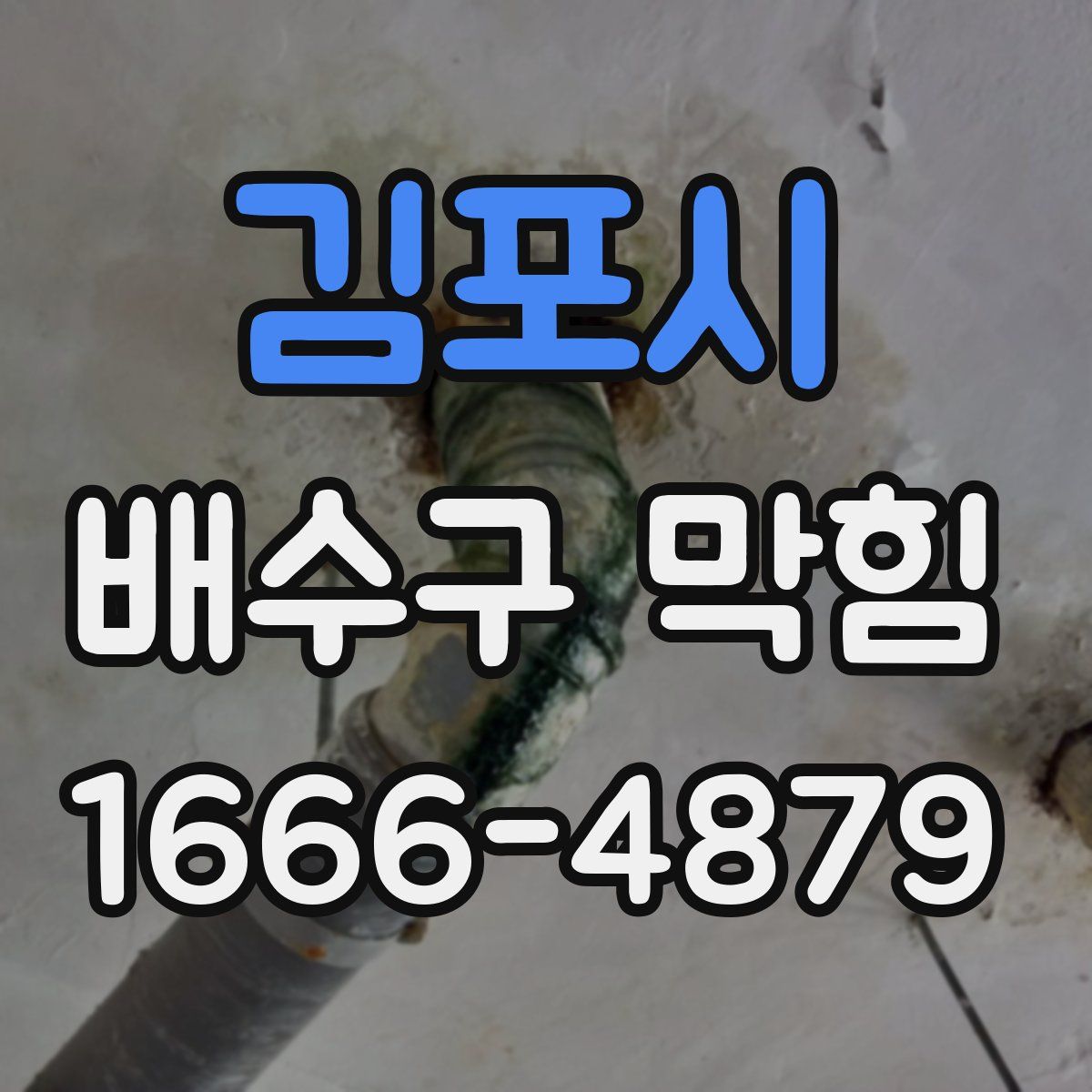 김포시 배수구 막힘