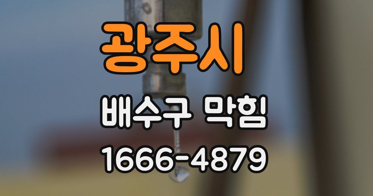 광주시 배수구 막힘