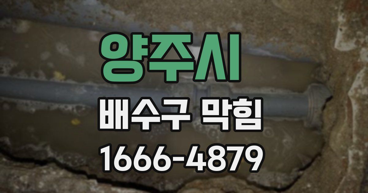 양주시 배수구 막힘