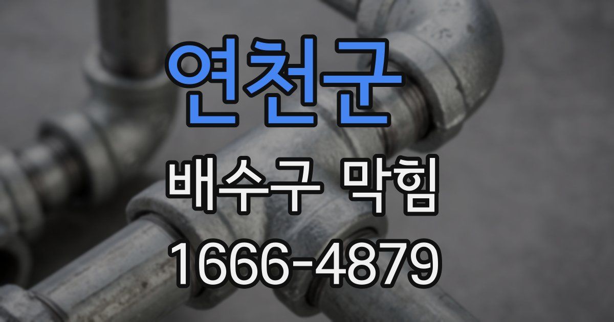 연천군 배수구 막힘