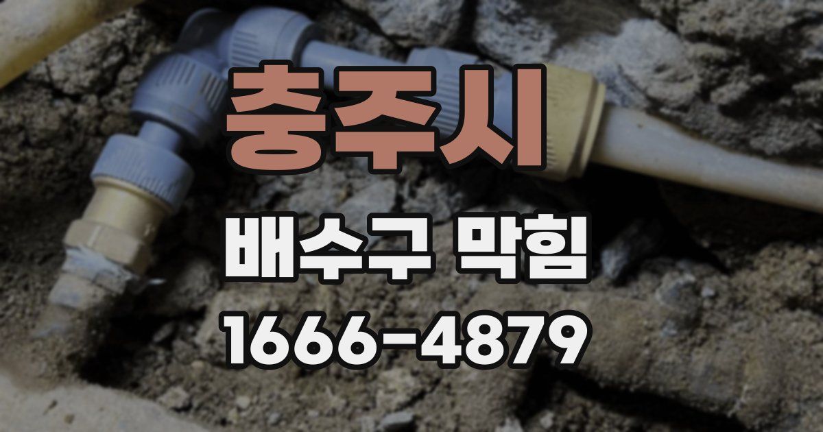 충주시 배수구 막힘