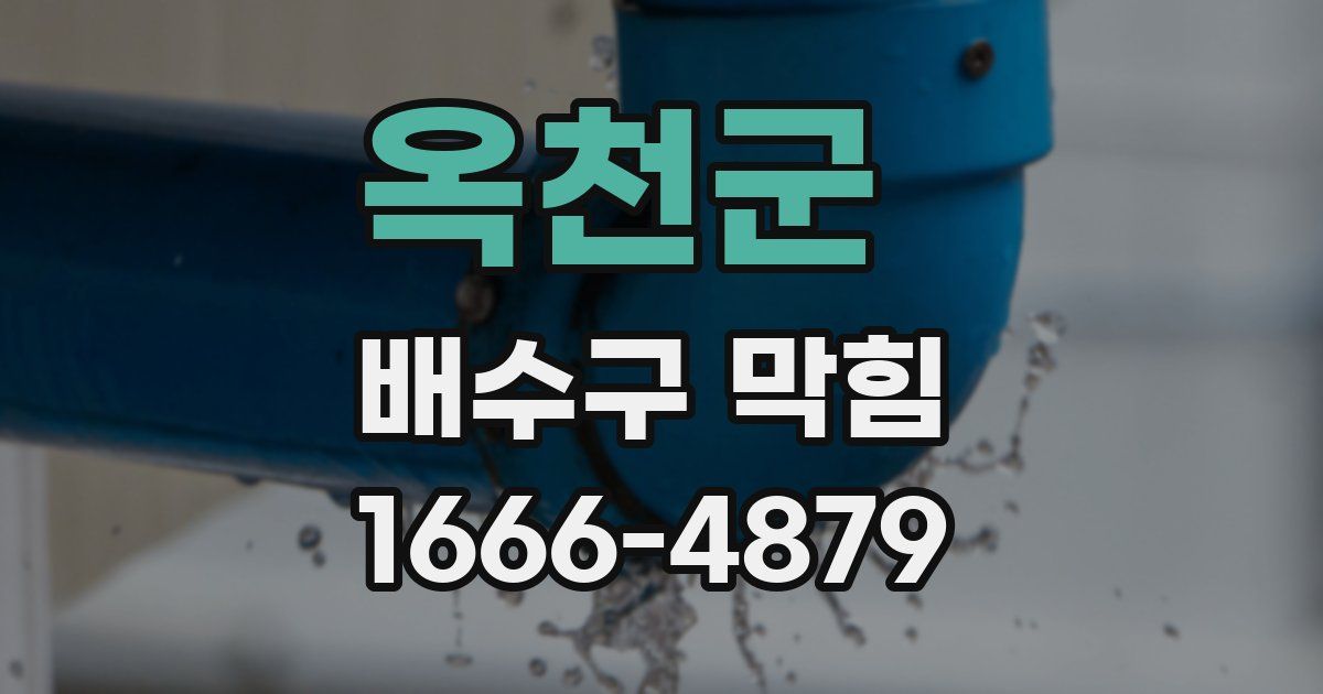 옥천군 배수구 막힘