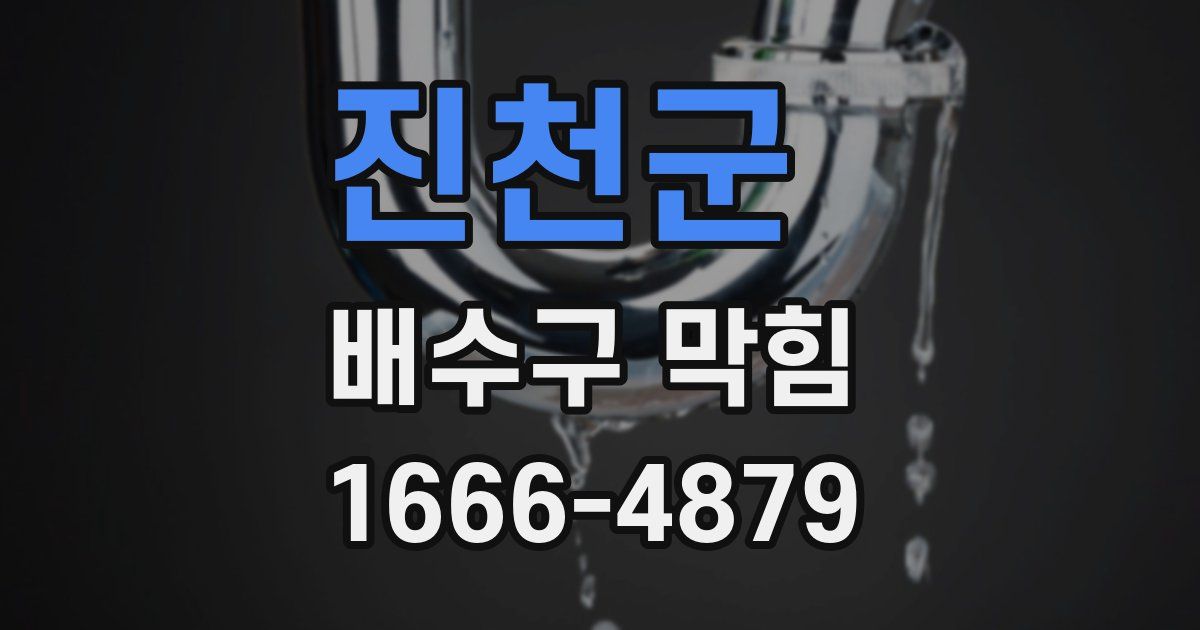 진천군 배수구 막힘