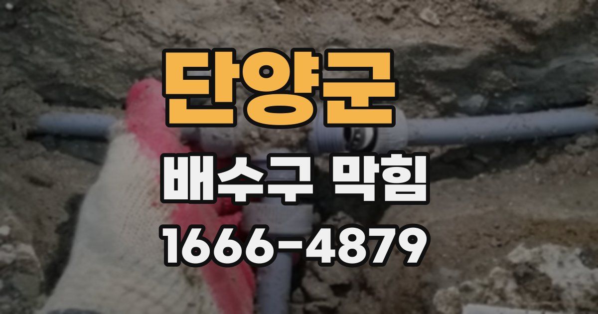 단양군 배수구 막힘